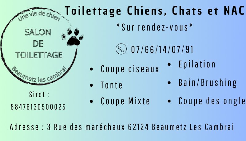 Une vie de chien - photo 2