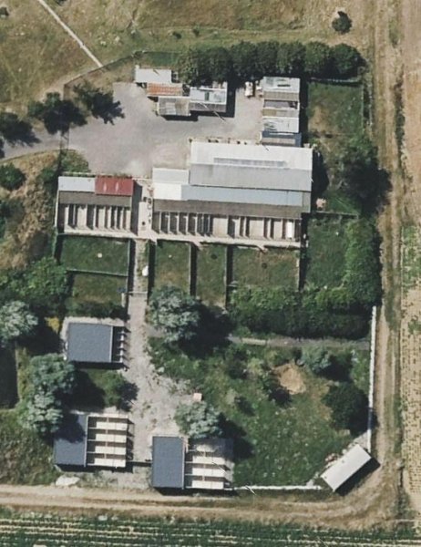 Pension Canine et Féline | SARL L'os en bois - photo 1