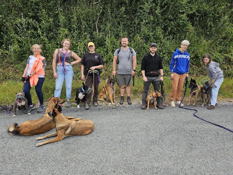 Lucie MOREL- Éducation canine - photo 3