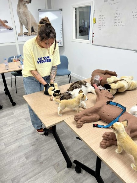 Premiers Secours Canin - photo 2