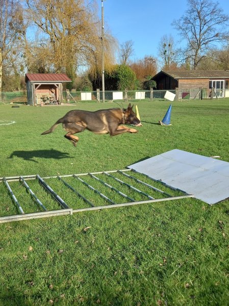 Sport Canin de Cambron