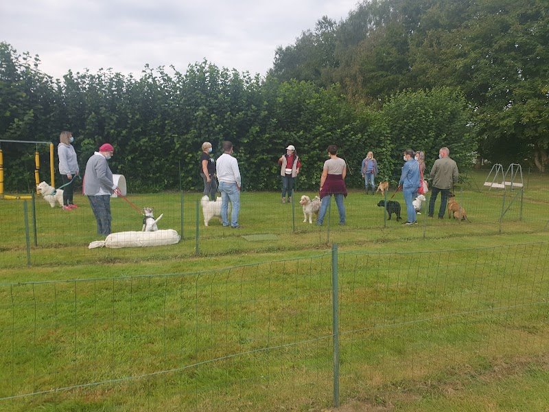 Ecole Canine Sportive de Messei - photo 2