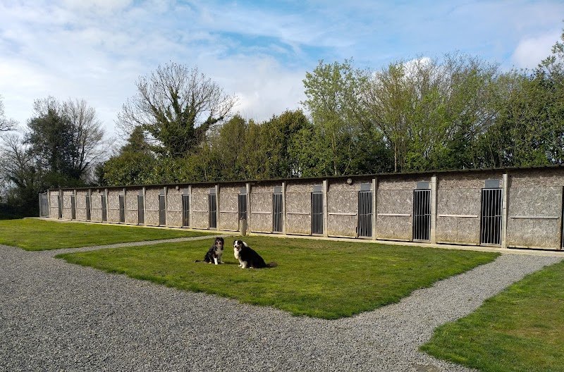 Centre Canin Thomas Cormier - Pension Education Elevage de Bergers Australiens