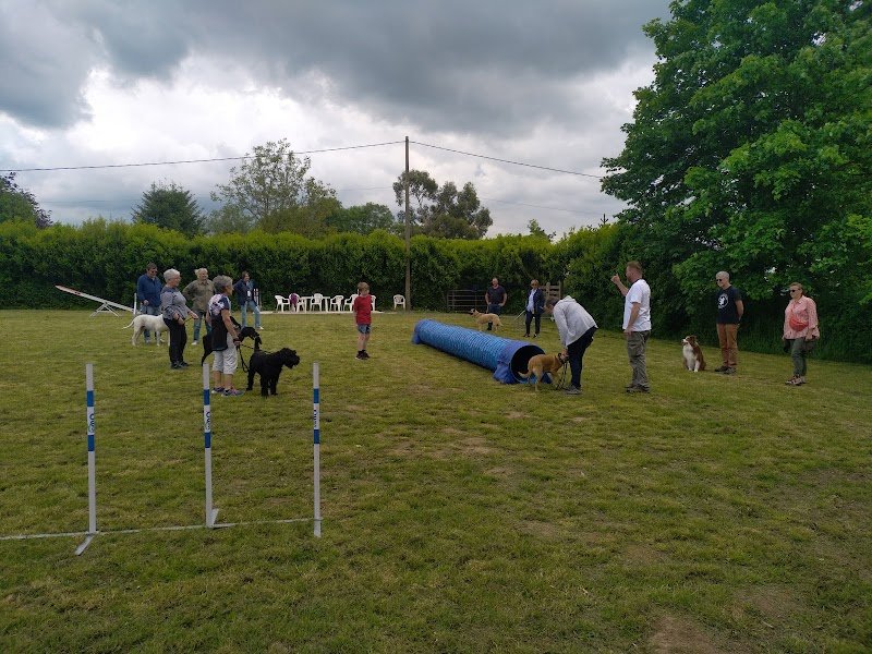 Centre Canin Thomas Cormier - Pension Education Elevage de Bergers Australiens - photo 3