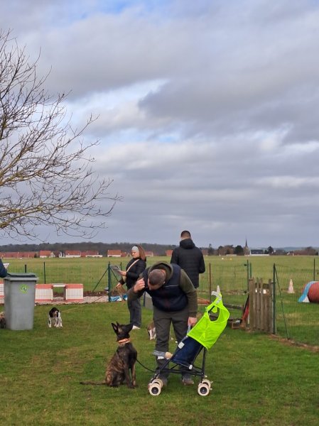 CLUB D’ÉDUCATION ET D’AGILITY AMIENS-GLISY - photo 3