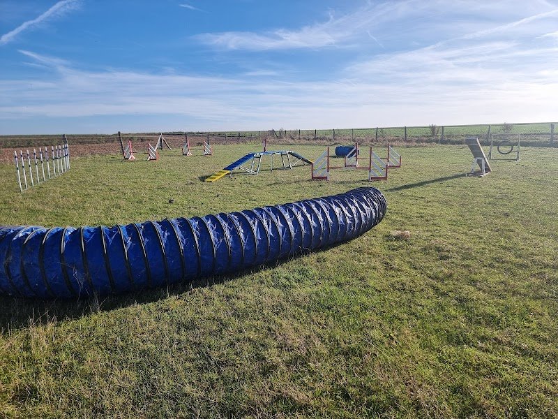 Pension canine du bois aux agneaux