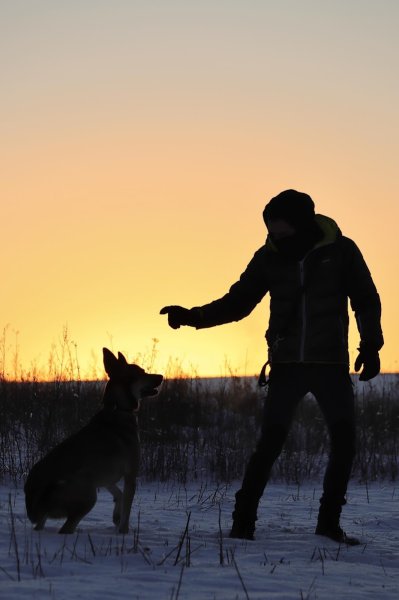 Alex Canin - photo 3