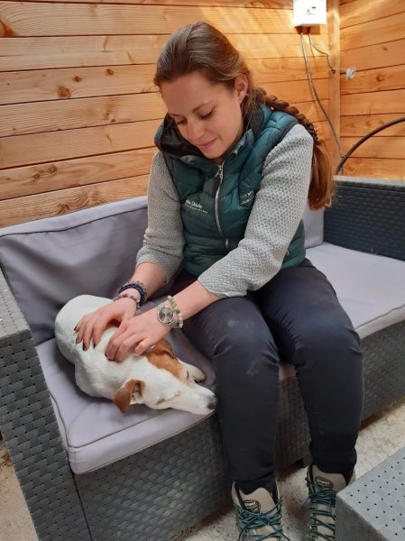 Audésie Shiatsu équin et canin - photo 1