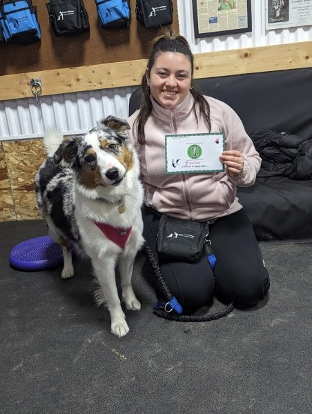 Lounika Comportement Canin - photo 1