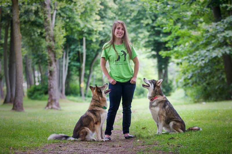 Lounika Comportement Canin - photo 3