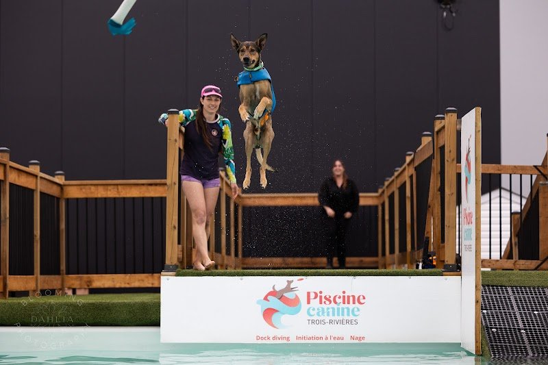 Piscine Canine Trois-Rivières - photo 1