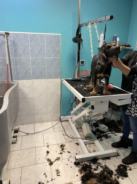 L Eden Canin - photo 1