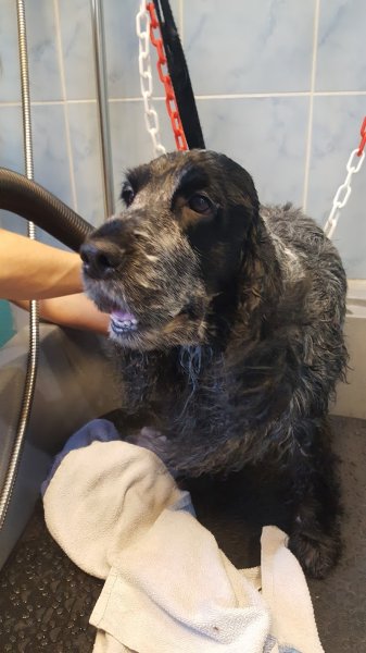 L Eden Canin - photo 3