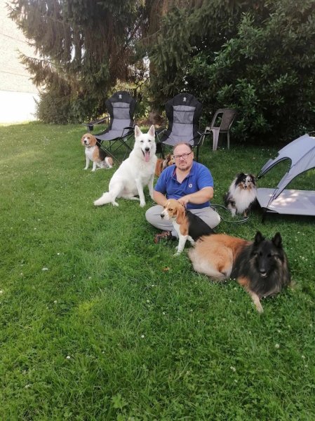 Pension canine "FAMILY DOGS comme à la maison"