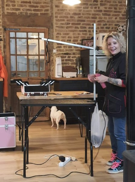 Poppy's Dog Beauty - photo 1