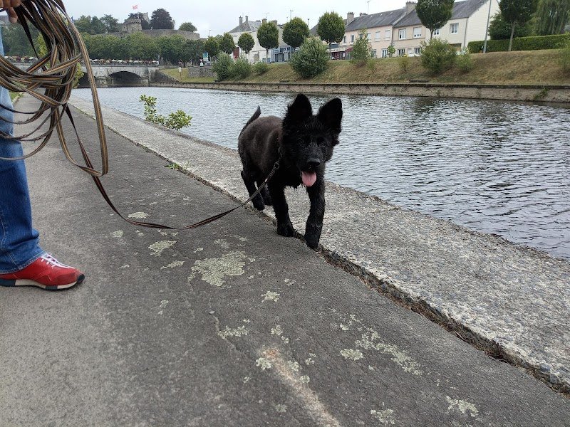 Planète KA'nin - éducatrice canin