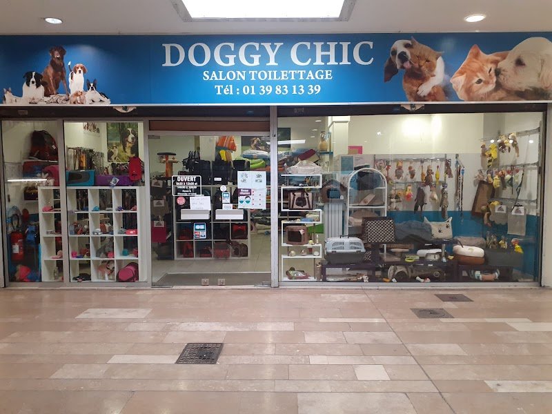 DOGGY CHIC - photo 1