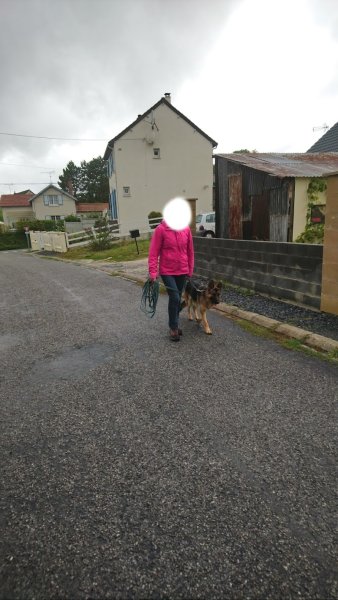 Nature Canine - Céline Coet Educateur canin