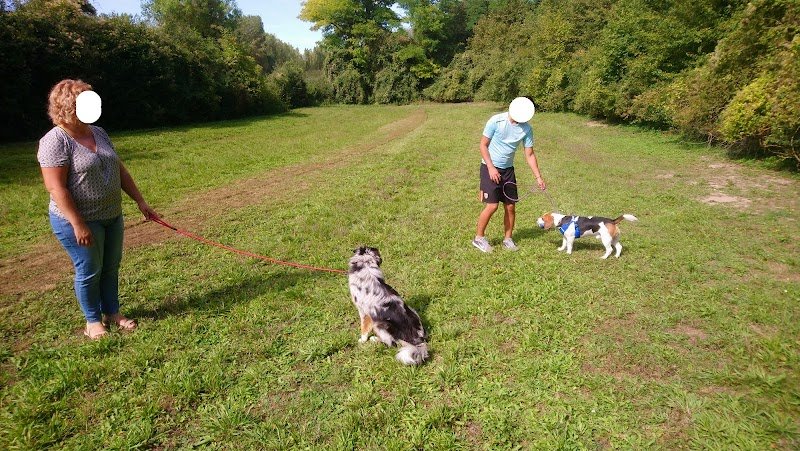 Nature Canine - Céline Coet Educateur canin - photo 3