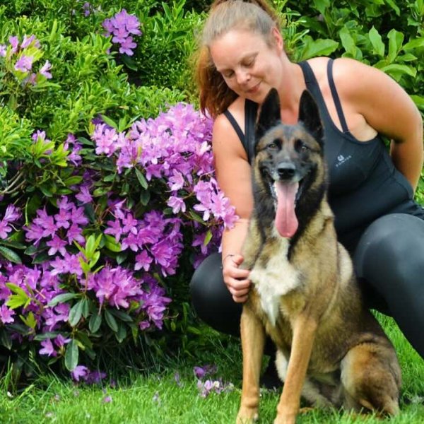 Éducateur canin RespectDogs Bernay - photo 1