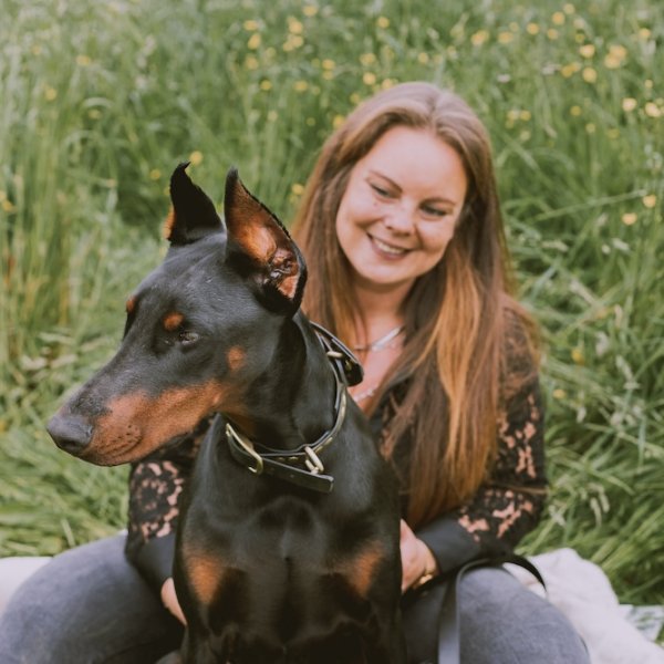 Éducateur canin RespectDogs Bernay - photo 2