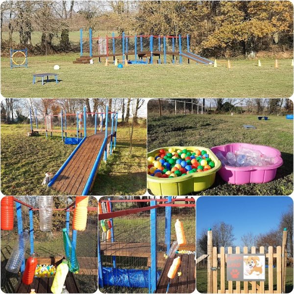 HUMEURS DE CHIENS - Duquesnoy Christelle