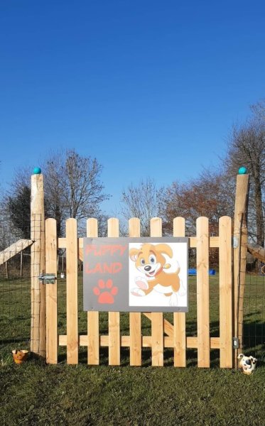 HUMEURS DE CHIENS - Duquesnoy Christelle - photo 2