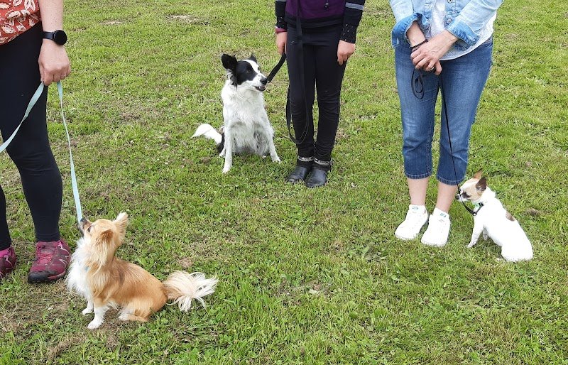 HUMEURS DE CHIENS - Duquesnoy Christelle - photo 3