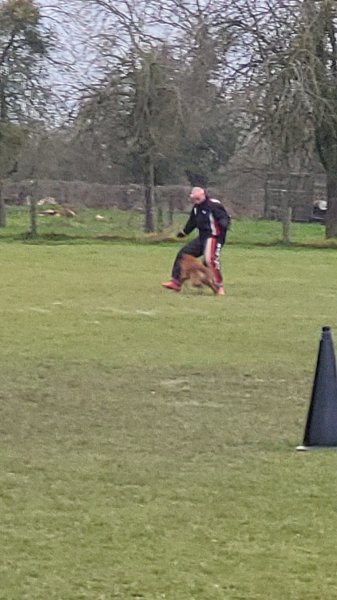 Club Canin de Londinières (CECL) - photo 2