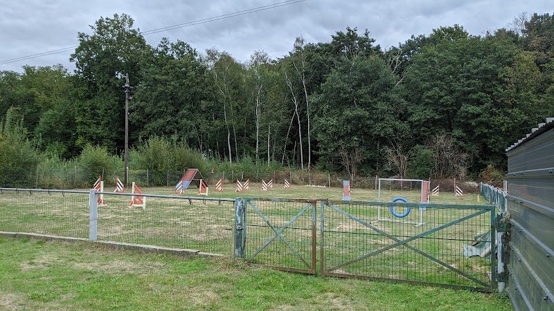 Club Canin Le Mee - photo 2