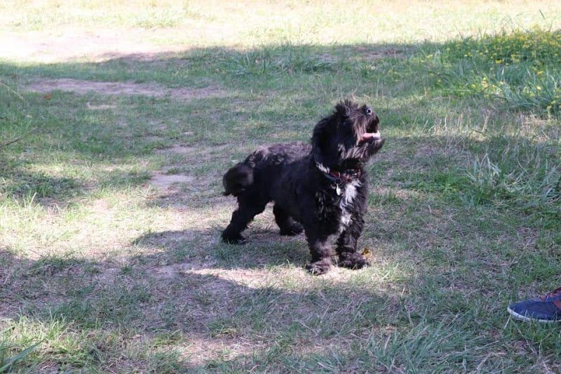 NMJ Comportement - photo 2