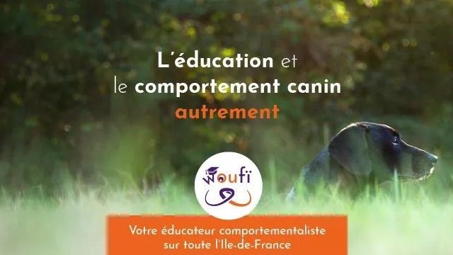 Woufï - Education, Formation & Comportement canin - Seine-et-Marne 77