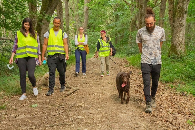 Woufï - Education, Formation & Comportement canin - Seine-et-Marne 77 - photo 3
