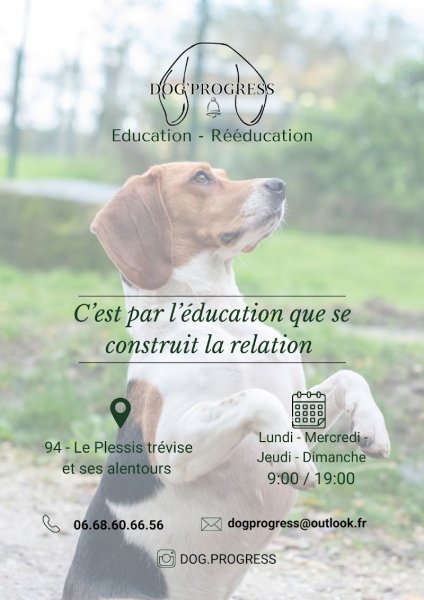 Dog'Progress - éducateur canin 77/94 - photo 2