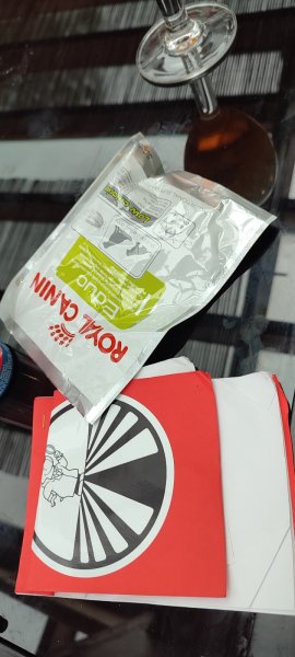 intelligence canine - éducateur et comportementaliste canin - photo 2