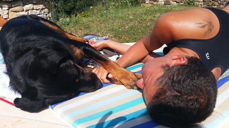 Doggycat Compagnie - photo 1