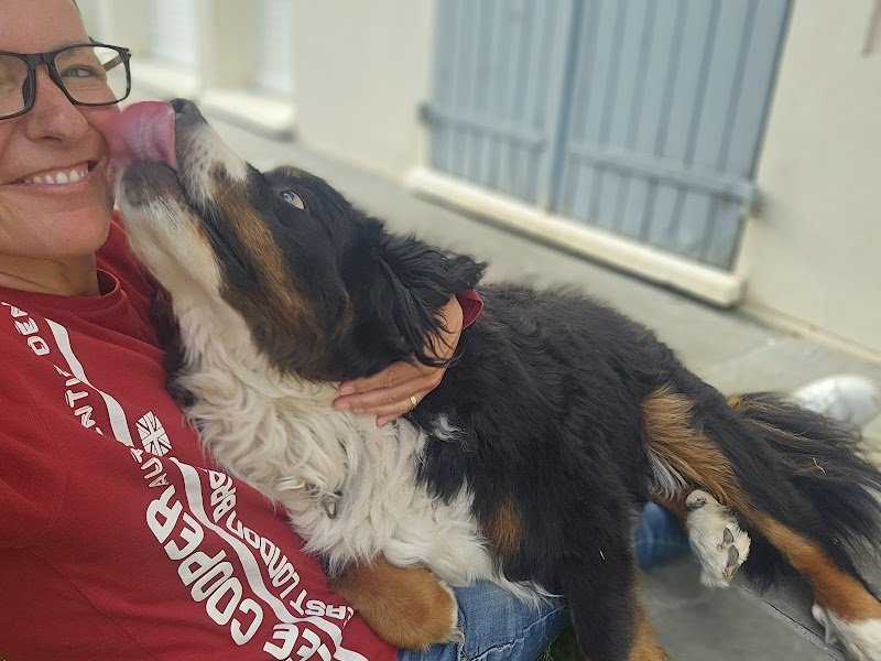 Doggycat Compagnie - photo 3