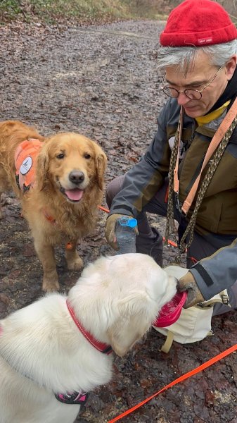 éduc'actions canine - photo 3