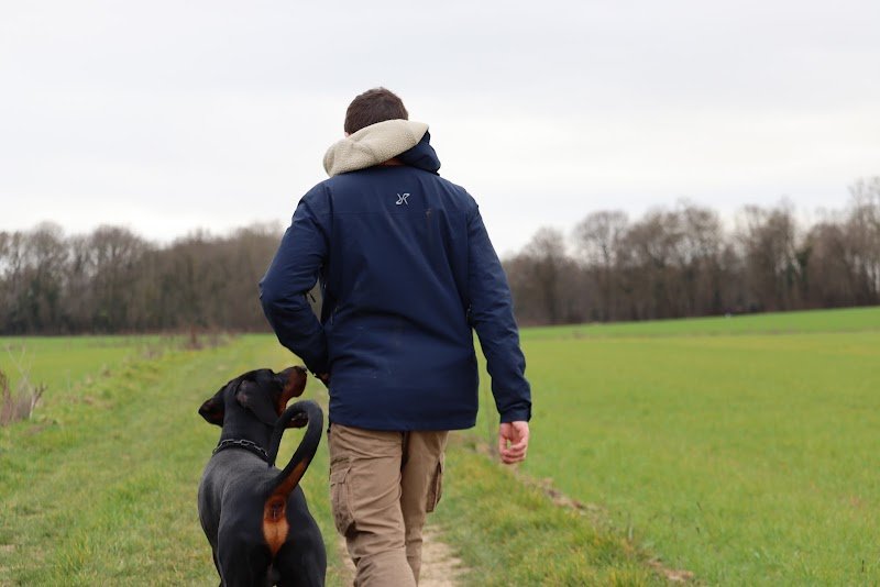Des gardiens d’Apollon : Attestation d’aptitude chiens catégorisés