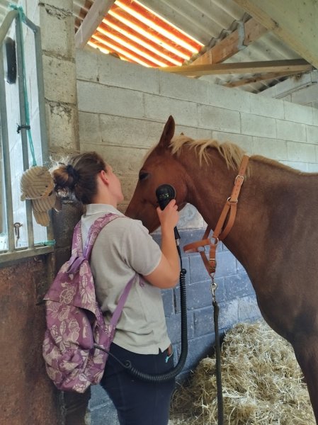Physio EquiLibre Sylvia Rhodier Masseur équin canin, équithérapeute et comportementaliste animalier - photo 2