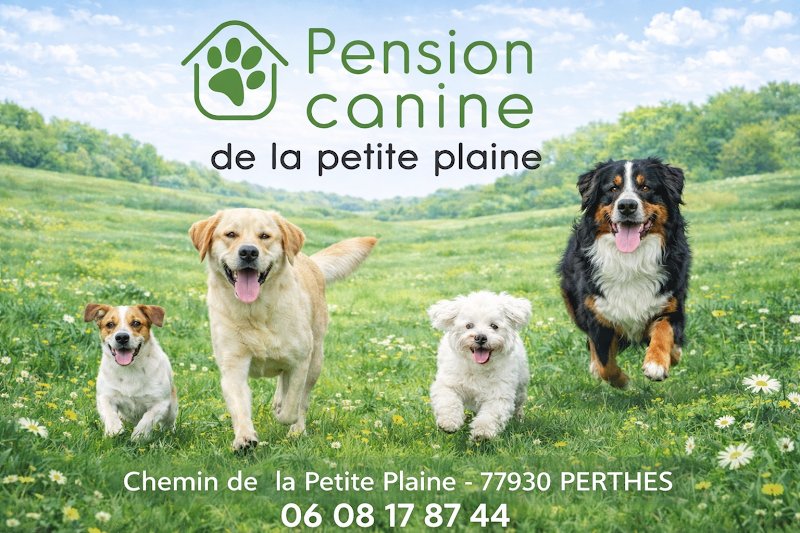 Pension canine de la petite plaine - photo 1