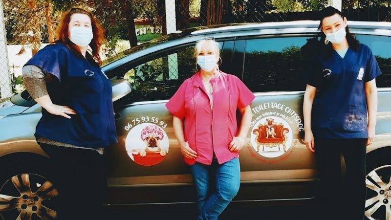 Artisan toiletteur chti's dog - photo 1