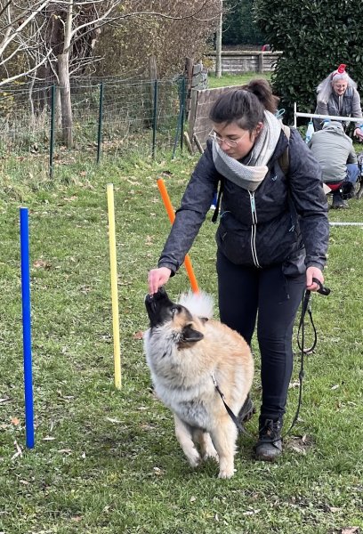 Amicale Canine Villecresnoise - photo 2
