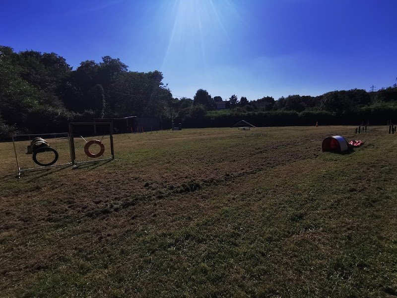 Amicale Canine Villecresnoise - photo 3