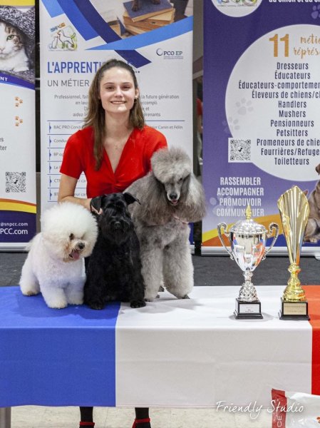 Brillance Canine - photo 3