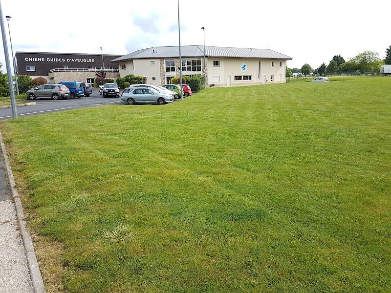 Chiens Guides d' Aveugles d'Île-de-France - photo 2