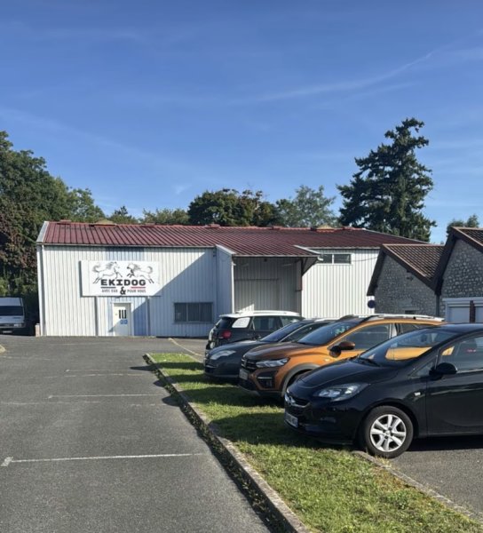 EkiDog - photo 1
