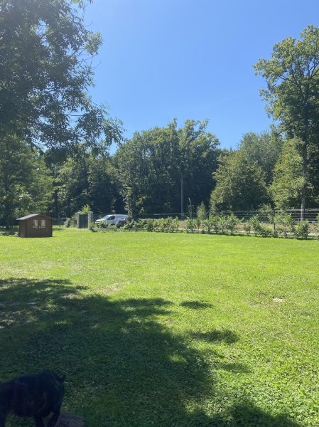 Auberge des gateliers pension canine - photo 2