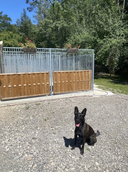 Auberge des gateliers pension canine - photo 3