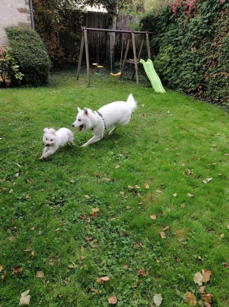 Educanin Harmonie - photo 2